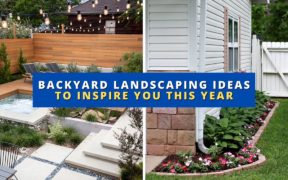 9 Backyard Landscaping Ideas that Will Make You Feel at Home