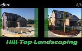 New Construction Landscaping Ideas, New Home Landscaping Ideas