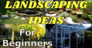 LANDSCAPE REDESIGN/LANDSCAPING IDEAS FOR BEGINNERS