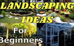 LANDSCAPE REDESIGN/LANDSCAPING IDEAS FOR BEGINNERS