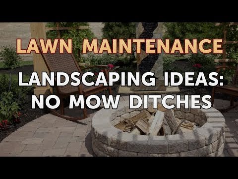 Landscaping Ideas: No Mow Ditches