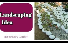 Landscaping ideas#shorts#Gardening#Homefairygarden
