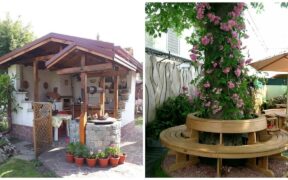 499 garden and backyard ideas! Examples of landscape design and decor!