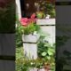 Awesome indoor garden and planter idea / garden landscaping ideas / mini landscape waterfall