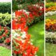 Top Home Garden Landscaping Ideas 2023 | House Backyard Patio Design Ideas 2023  | Front Yard Garden