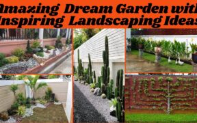 Diy Gardening ideas| Diy Landscaping Ideas| gardening ideas| Diy ideas
