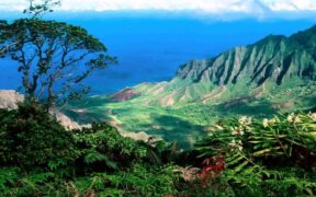 Landscaping Ideas Hawaii Pictures