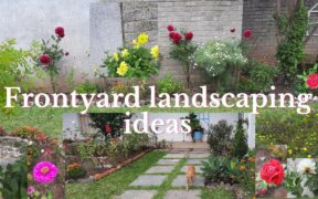 Small Frontyard landscaping ideas with grass, gravels, pathways & flowering plants