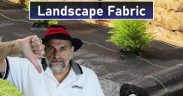 Don't Use Landscape Fabric or Weed Barrier