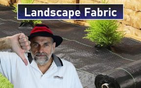 Don't Use Landscape Fabric or Weed Barrier