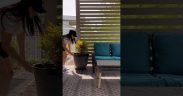 ad How I built a Easy DIY Privacy Screen using the @Wagner-Spraytech FLEXiO 3500 Paint Sprayer!