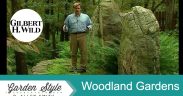 Ideas to Design a Woodland Garden | Garden Style (514)