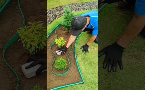 Amazing Curve Shape Garden Landscape Design ideas #landscape #gardenideas #garden #diy