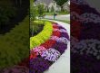 🏡 Flower Bed Ideas for Your Home – Beautify Your Yard with Easy DIY Designs! 🌸