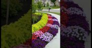 🏡 Flower Bed Ideas for Your Home – Beautify Your Yard with Easy DIY Designs! 🌸