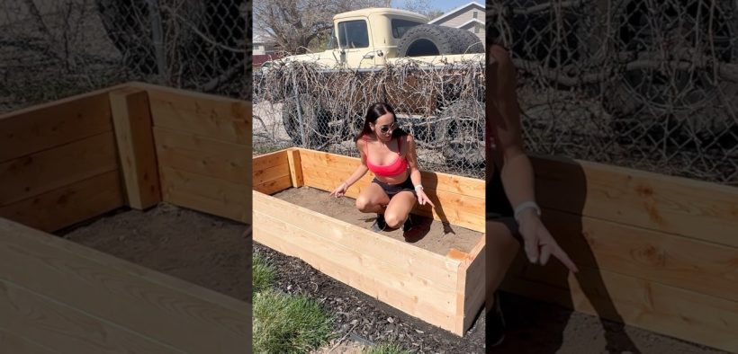 How To Fill Raised Garden Beds For Cheap! #gardening #diyprojects #diygarden #gardendesign