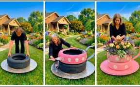 DIY Garden Ideas That Instantly Upgrade Your Backyard (1 Day Makeover)