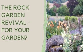 Rock garden ideas and inspiration - perfect for drought tolerant planting and slopes