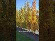 Privacy Trees