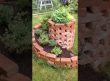 GARDENING ideas. Old bricks in the garden