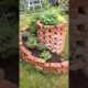 GARDENING ideas. Old bricks in the garden